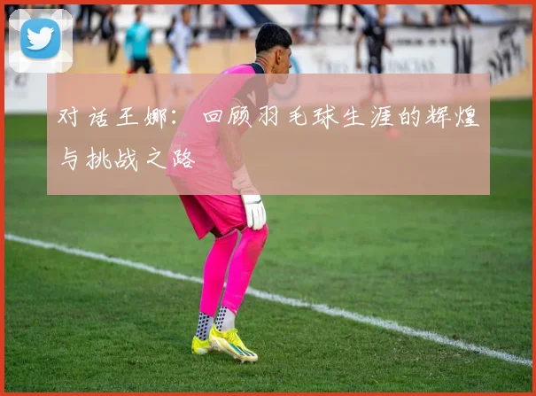对话王娜：回顾羽毛球生涯的辉煌与挑战之路