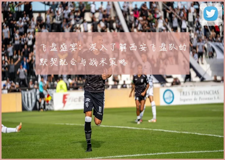 飞盘盛宴：深入了解西安飞盘队的默契配合与战术策略