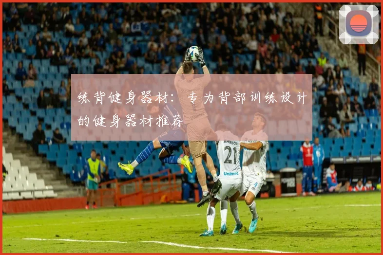 练背健身器材：专为背部训练设计的健身器材推荐